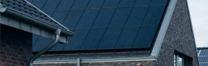«Die CO2-Neutralität im engeren Sinne wird bis 2050 schwer zu erreichen sein»