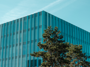 En mars, malgré les turbulences du marché, les opérations en capital n'ont pas ralenti